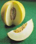zdjęcie Melon gatunek Zolushka F1