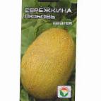 foto Il melone la cultivar Serjozhkina lyubov