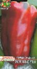 Photo des poivres l'espèce Volove ukho
