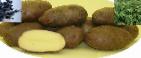 Photo Potatoes grade Vasilek