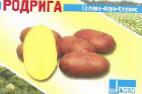 foto La patata la cultivar Rodriga