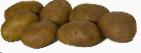 Photo Potatoes grade Udacha