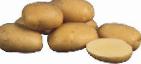 Photo Potatoes grade Sante