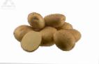 Photo Potatoes grade Fresko