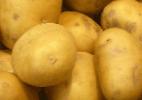 foto La patata la cultivar Agriya