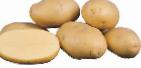 Photo Potatoes grade Agriya