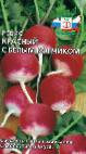 foto Il ravanello la cultivar Krasnyjj s belym konchikom
