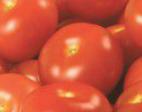Photo des tomates l'espèce Ehklajjm F1