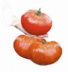 Foto Los tomates variedad Korol-gigant №IX F1