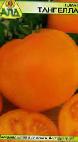 foto I pomodori la cultivar Tangella