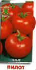 Foto Los tomates variedad Pilot
