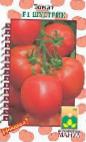 Foto Los tomates variedad Shustrik F1