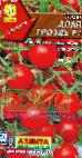 Foto Los tomates variedad Alaya grozd F1