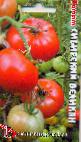Photo Tomatoes grade Sibirskijj Velikan