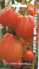 Photo des tomates l'espèce Tolstyjj Monakh