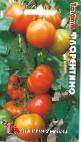 Foto Los tomates variedad Florentino