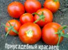 Photo Tomatoes grade Priusadebnyjj krasavec