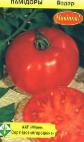 Photo des tomates l'espèce Vodar