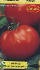 Foto Los tomates variedad Ikarus