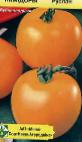 Photo Tomatoes grade Ruslan