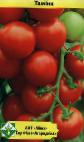 Photo des tomates l'espèce Tamina