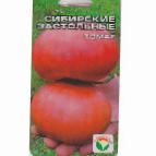 Foto Los tomates variedad Sibirskie zastolnye