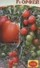 Foto Los tomates variedad Orfejj F1