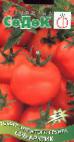 Foto Los tomates variedad Sub-Arktik