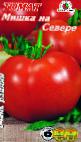 Photo Tomatoes grade Mishka na Severe