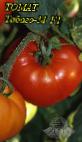 Foto Los tomates variedad Tabago-M F1
