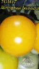 Photo Tomatoes grade Yantarnaya Baltika