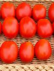 Foto Los tomates variedad Plateks F1