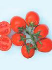 Foto Los tomates variedad Progress F1