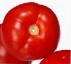 Photo Tomatoes grade General F1