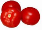 kuva tomaatit laji Sativo F1
