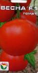 Foto Los tomates variedad Vesna F1 