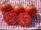 Foto Los tomates variedad Lakota F1