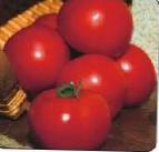 Photo des tomates l'espèce Sita F1