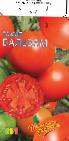 Photo des tomates l'espèce Balzam F1