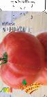 Photo des tomates l'espèce Benefis F1