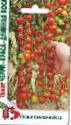 Foto Tomaten klasse Cherri krasa-dlinnaya kosa