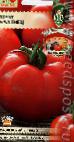 Photo des tomates l'espèce Baltiec