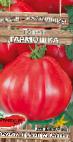 Photo des tomates l'espèce Garmoshka