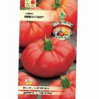Photo Tomatoes grade Minotavr