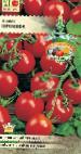 Foto Los tomates variedad Proshka