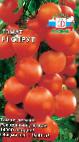 Photo Tomatoes grade Sprut F1