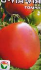 foto I pomodori la cultivar O-lya-lya 