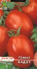 Photo des tomates l'espèce Kadet