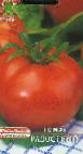 Photo Tomatoes grade Radostnyjj