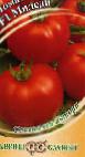 Foto Los tomates variedad Miledi F1 Gavrish